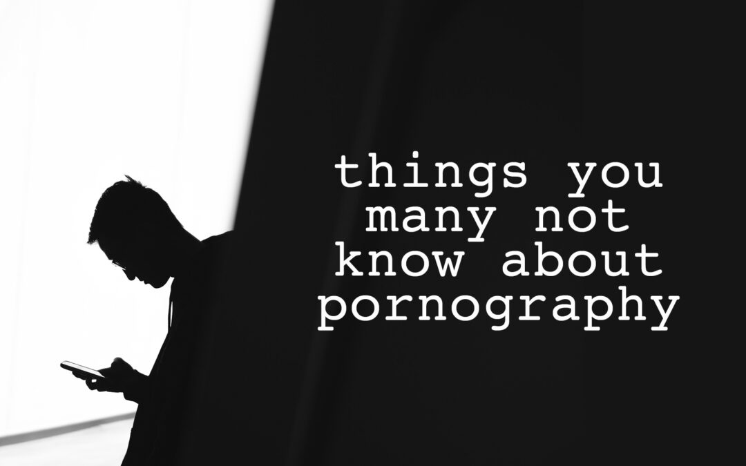 Things You May Not Know About Porn